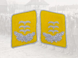 Kragenspiegel Hauptmann LW