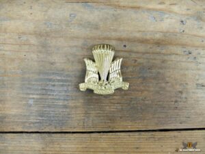 Cap Badge Canadian Parachute Corps