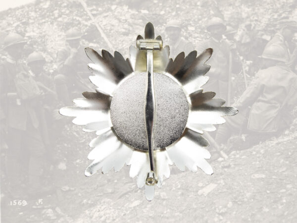Order of Saints Maurice and Lazarus, breast star - Afbeelding 2