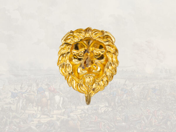 Gold coloured lion head – Image 2
