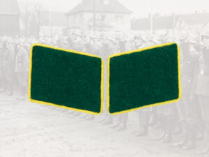 Kragenspiegel Felddivision