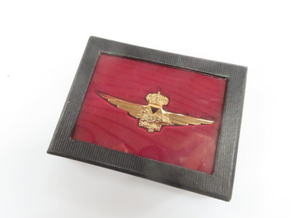 Collector's badge: Distintivo da Pilota