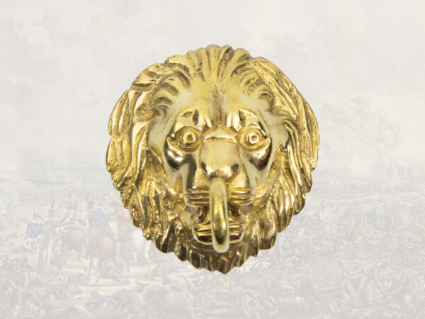 Lion head with hook