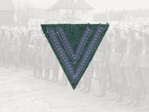 Dienstgradabzeichen Obergefreiter, grey on field grey