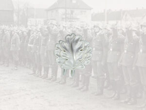 Eichenlaub für Ritterkreuz