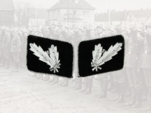 Kragenspiegel Oberführer