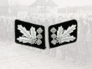 Kragenspiegel Oberstgruppenführer
