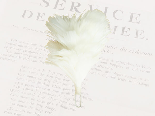 Plume/ feather for hat, white