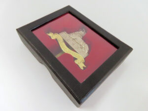 Collector's badge: Royal Lincolnshire Regiment badge